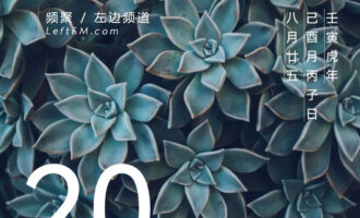 没有退路，脚下的路便会自然生长