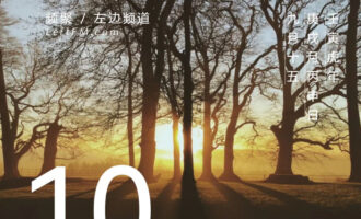 想要这个世界更为温柔地待你