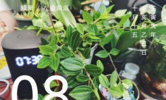 迟迟不动笔，永远只是一张白纸