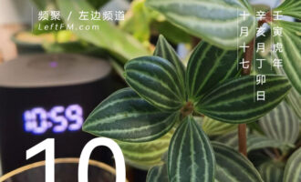 想要成材，就不要太在意暂时落进哪个坑