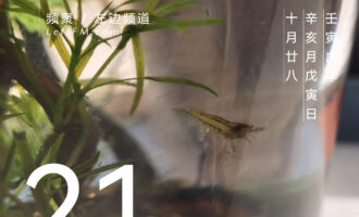 天赋只开了个头，讲好故事还要积累和努力