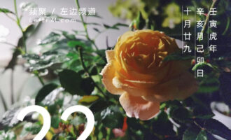 天真不一定好，世故也不一定坏