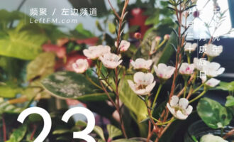 手指头悬在键盘上，不知道话从哪里开始讲