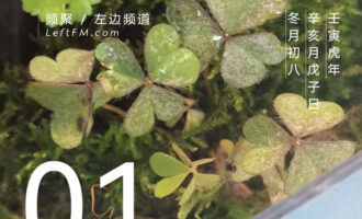若是东拉西扯没啥重点，还不如闭嘴不讲
