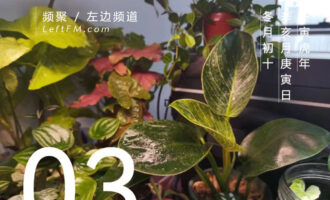 想不明白的地方，有你想要逃避的东西