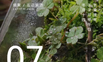 能力者，最难把握的是“适可而止”