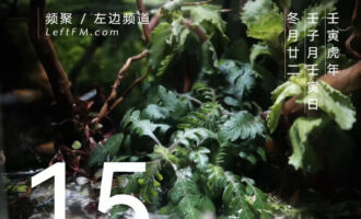 谁都能装一下，只是段位有高低