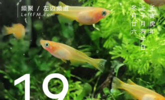 想尽办法，悬置于时空不便定义的某处