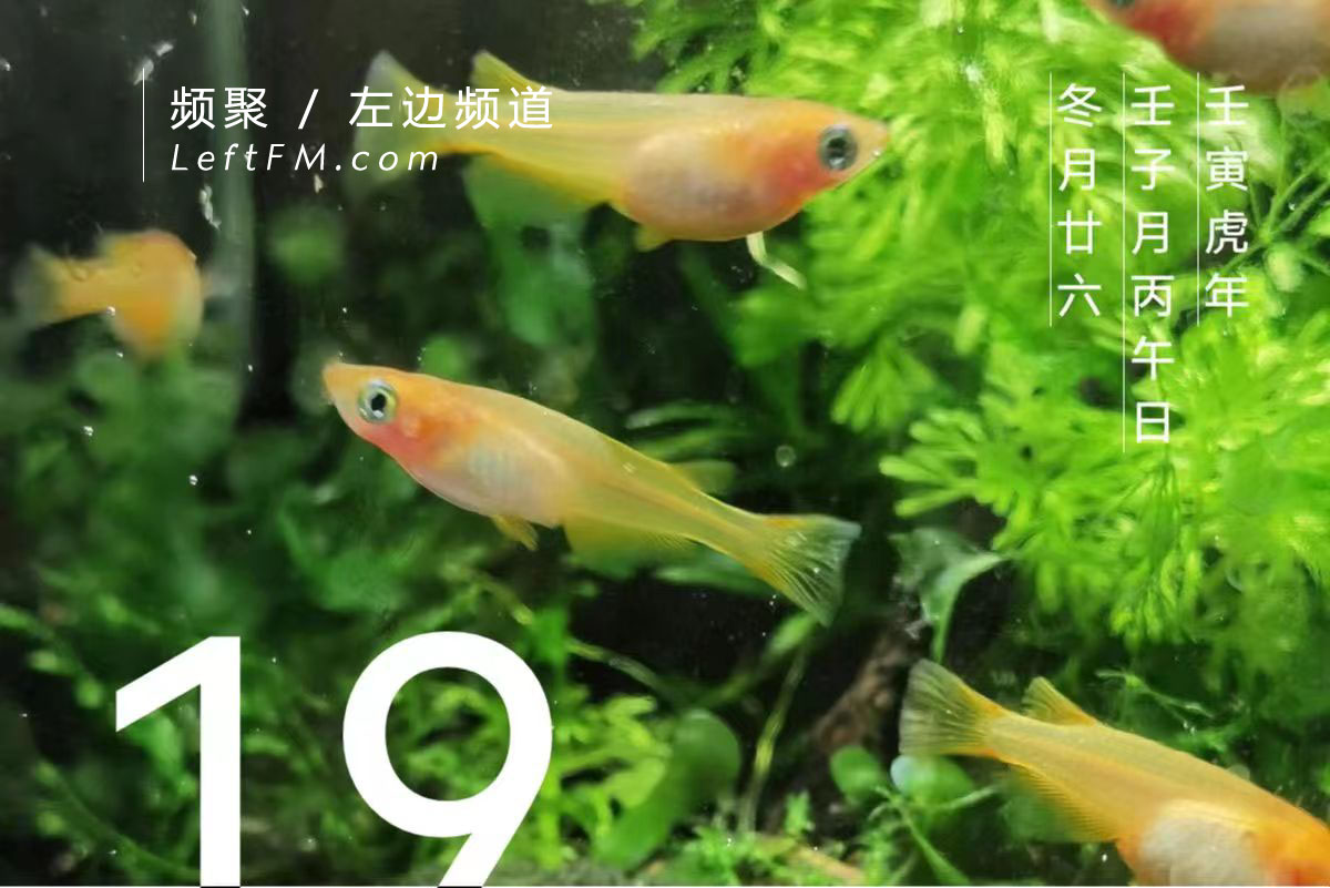 想尽办法，悬置于时空不便定义的某处