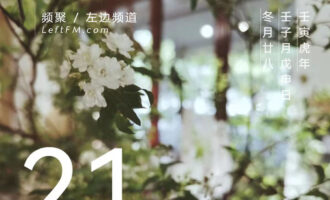 双手掂量生活，更看重果实还是花朵？