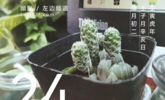 未曾想过，“周一见”如今成了美好祝愿