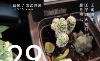希望新的一天，总能在如常中缓缓摊开