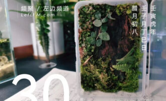 那一刻，我们有过于强烈的代入感