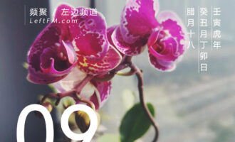 太煎熬了，等也不是不等也不是