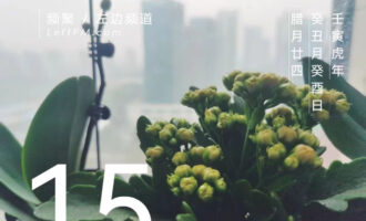 一下雪，芜杂人间便开启了美颜滤镜