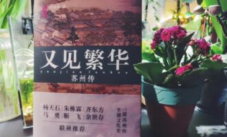 又见繁华-苏州传：先读这本再来，感受或许会更为丰满立体