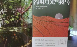 名叫月光的骏马：对于一场雪崩的期待