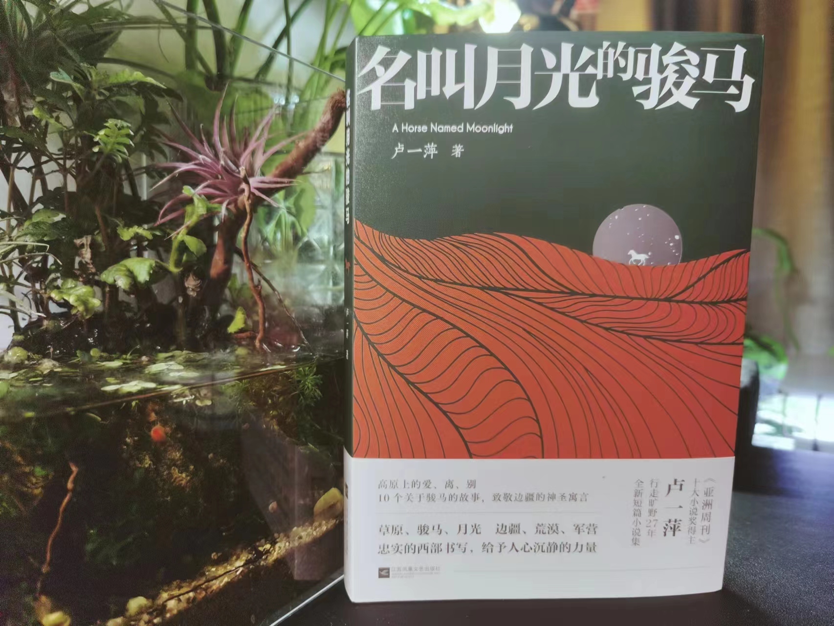 卢一萍 / 名叫月光的骏马 / 江苏凤凰文艺出版社 