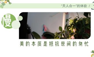 读书分享PPT：植场有叔，也有书 / 如何在格子间遇见小森林和好心情