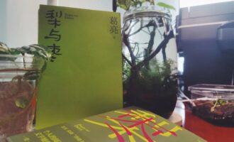 梨与枣：镜子的镜子