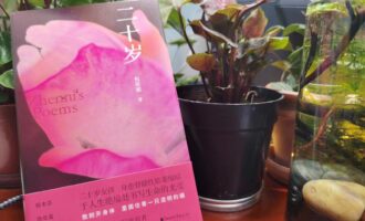 二十岁：一颗濒临衰老的宇宙