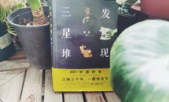 三星堆发现：实证之外，大胆推断的乐趣
