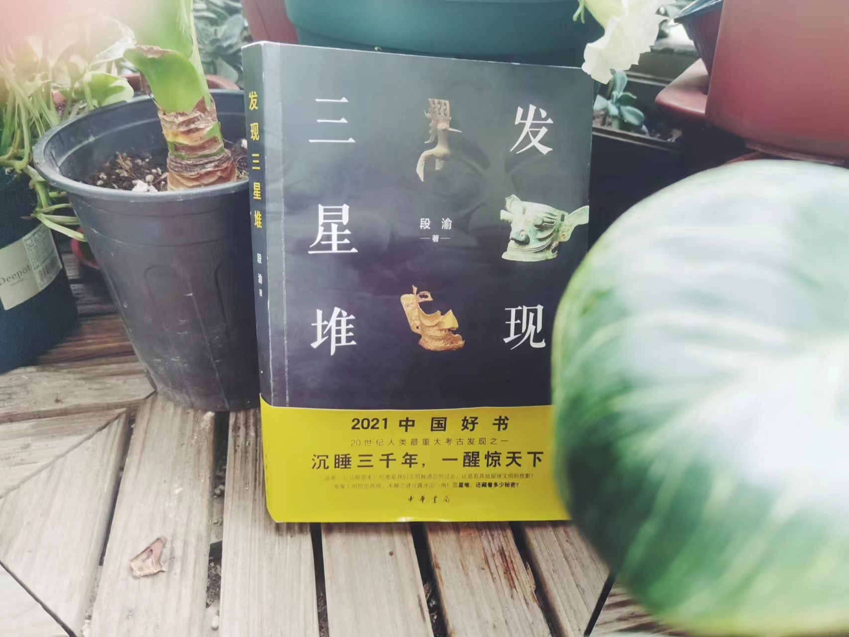 段渝 著 / 三星堆发现 / 中华书局
