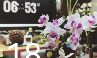 孤独本身并不可怕，可怕的是不愿意面对它