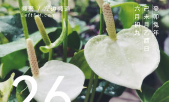 没有一个选择，是没有痛苦的