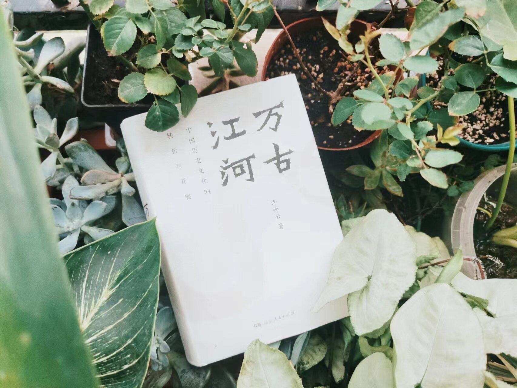 许倬云 著 / 万古江河：中国历史文化的转折与开展 / 湖南人民出版社 
