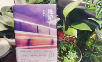 漫游者：大梦一场，沿途都是“怎么办”