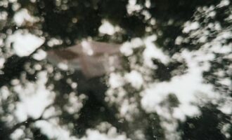 你这老太太，有点意思……