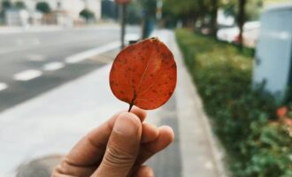 得闲饮茶、投缘喝酒