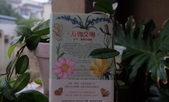 万物交响：听辨出内心中最为真切的声音