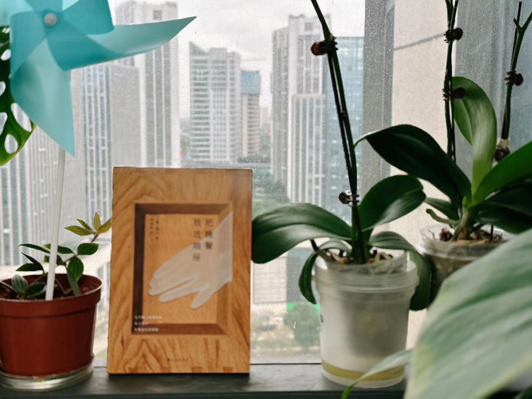 [韩]韩江 著 / 卢鸿金 译 / 把晚餐放进抽屉 / 九洲出版社 / 磨铁