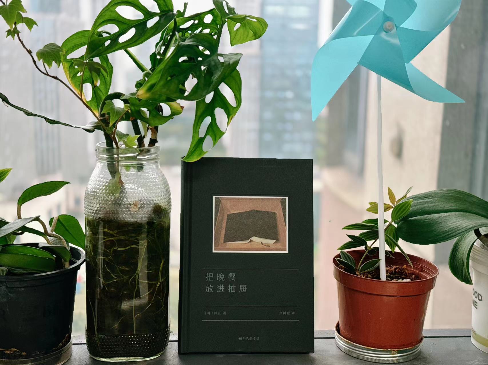 [韩]韩江 著 / 卢鸿金 译 / 把晚餐放进抽屉 / 九洲出版社 / 磨铁