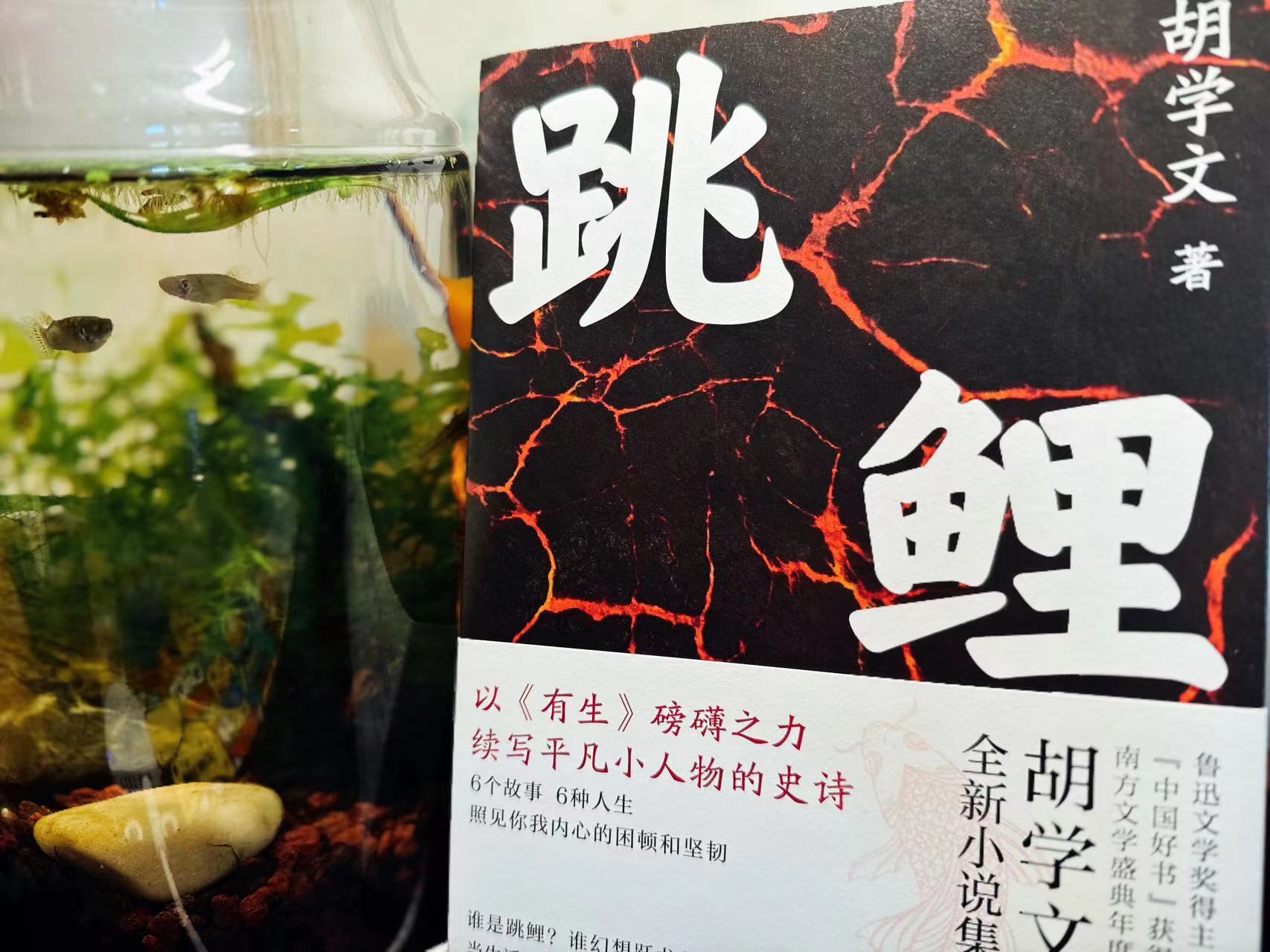胡学文 著 / 跳鲤 / 江苏凤凰文艺出版社