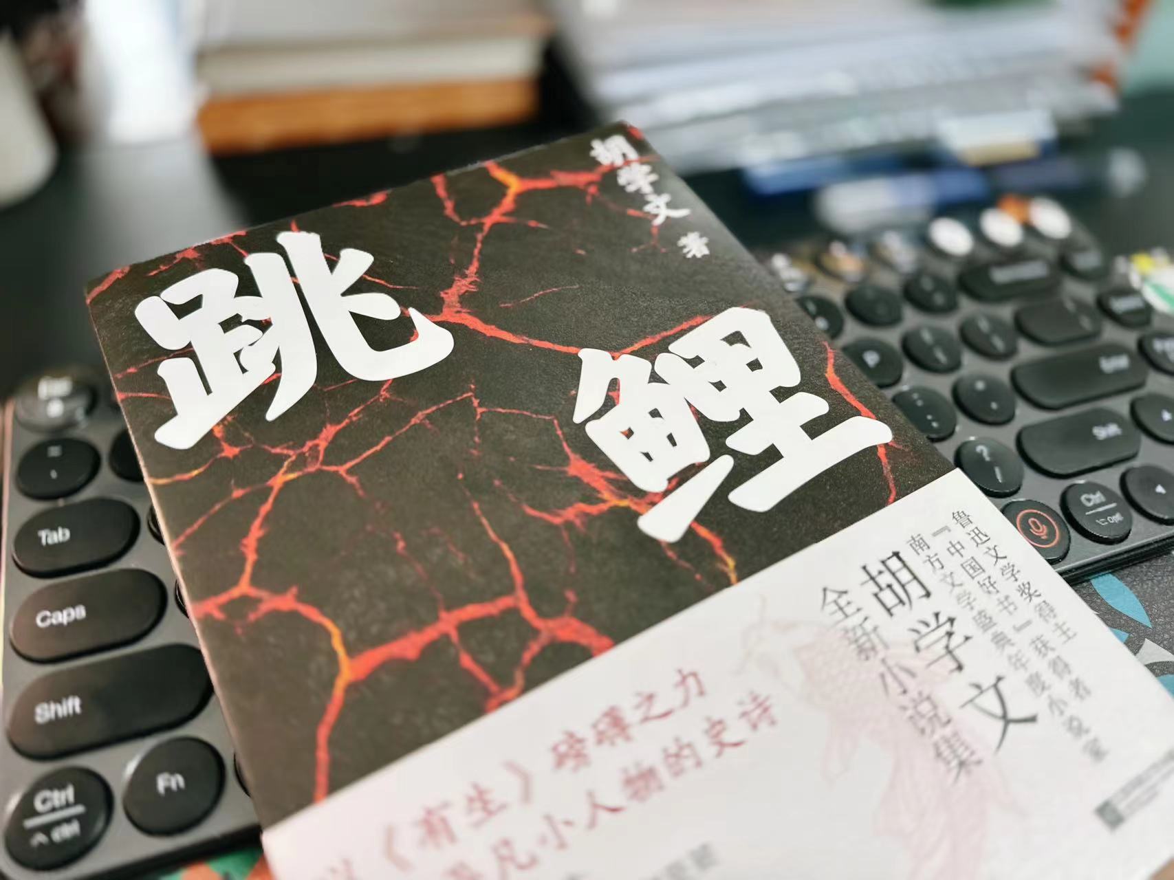 胡学文 著 / 跳鲤 / 江苏凤凰文艺出版社