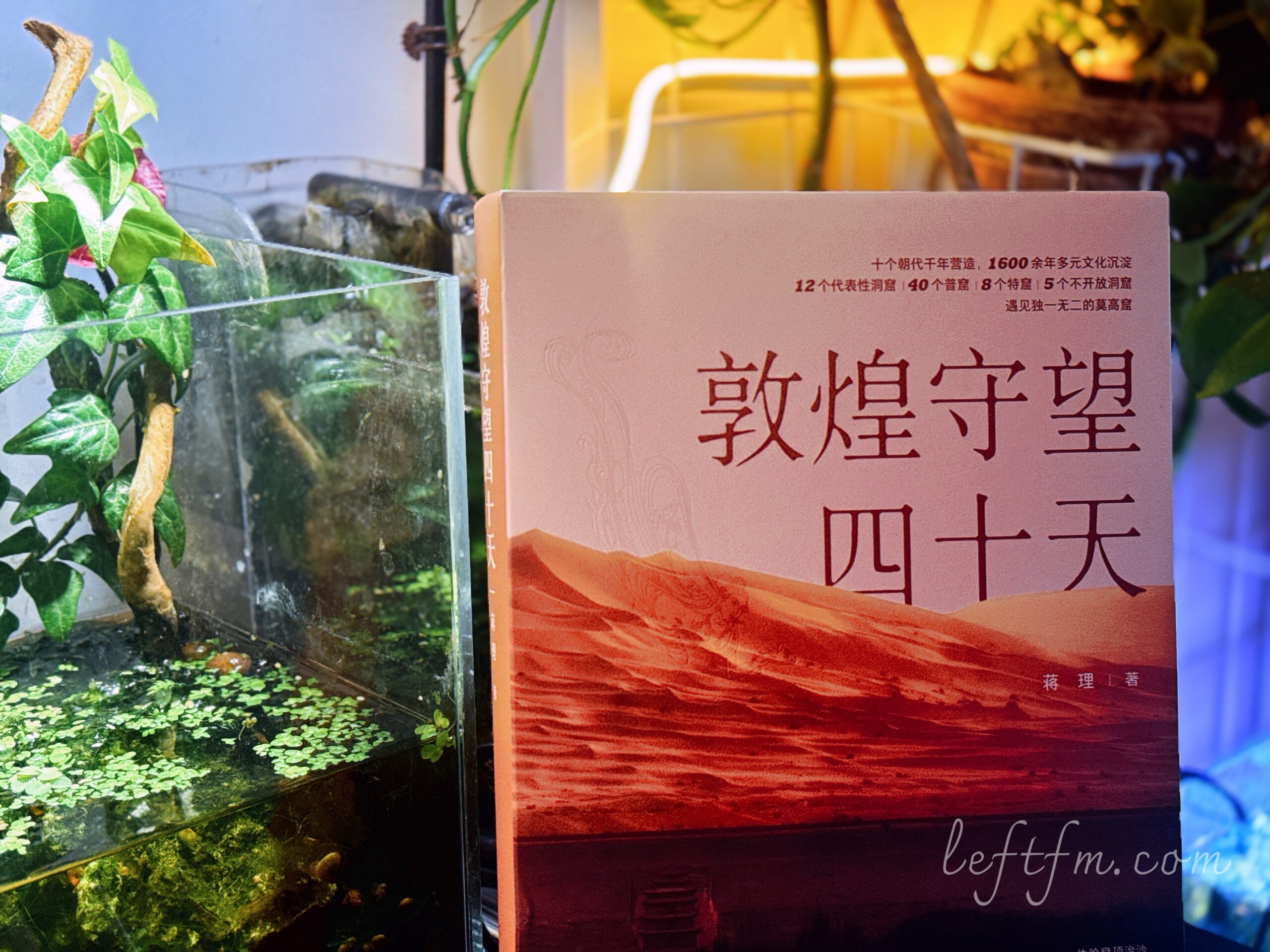 蒋理 敦煌守望四十天