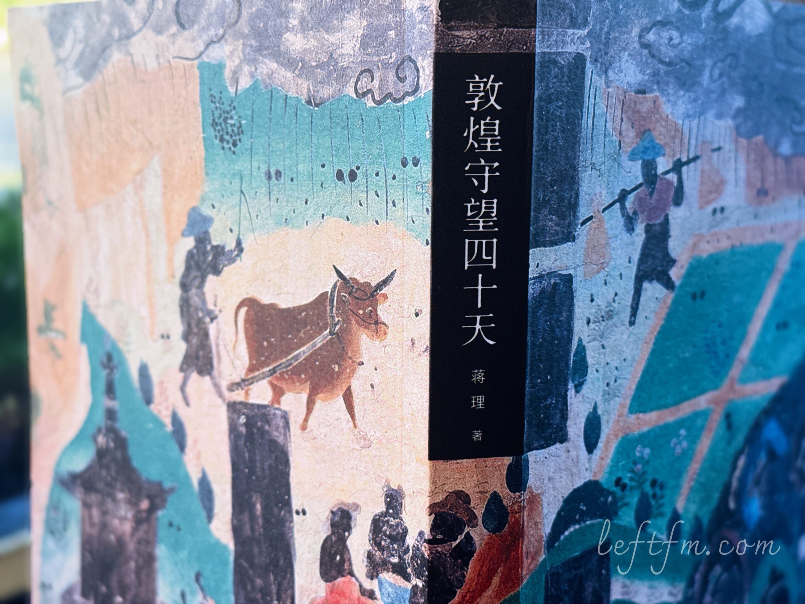 蒋理 敦煌守望四十天
