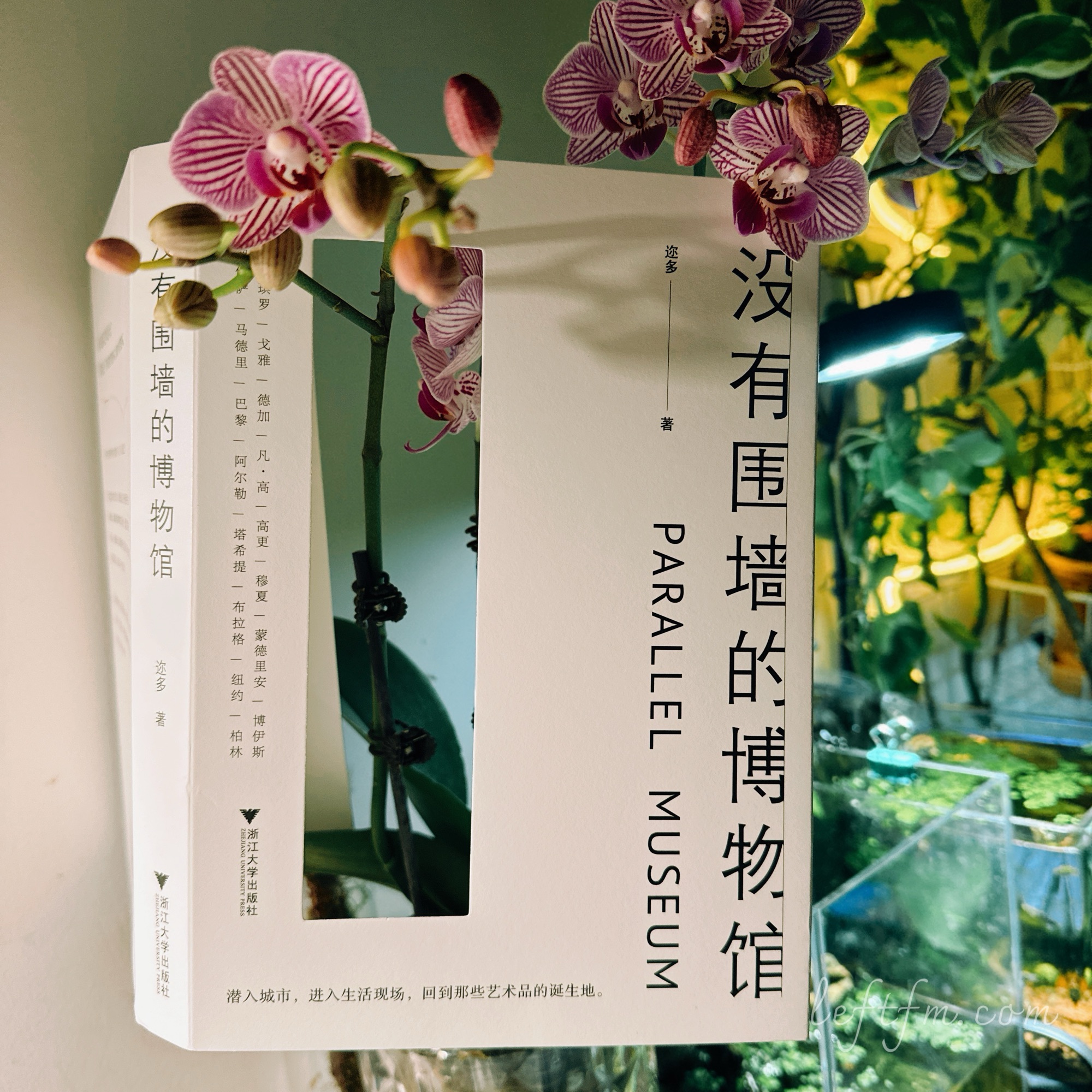 迩多 著 / 没有围墙的博物馆 / 浙江大学出版社