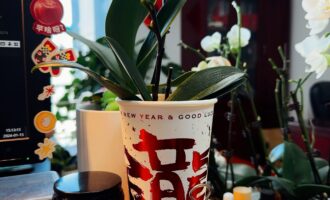 粗茶淡饭寻常过，闲来无事便是年
