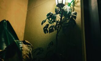 假如生活只剩下这些