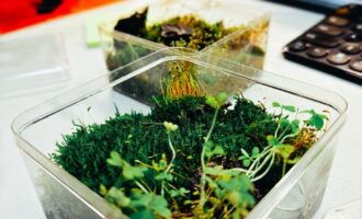 密码保护：短视频脚本：心·手