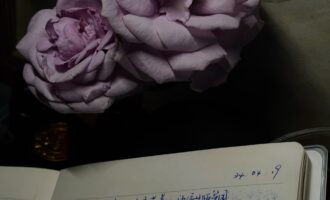 动物眼中的人类：致我们终将消亡的必然