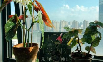 如何独处：与现实保持适当的安全距离