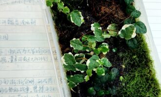 西南联大国史课：一些没有讲透，但又直观的细节