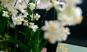 西南联大诗词课：时代的进步其实早已“显影”