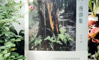晴川·漫游集：于混沌之中构成我们的与众不同