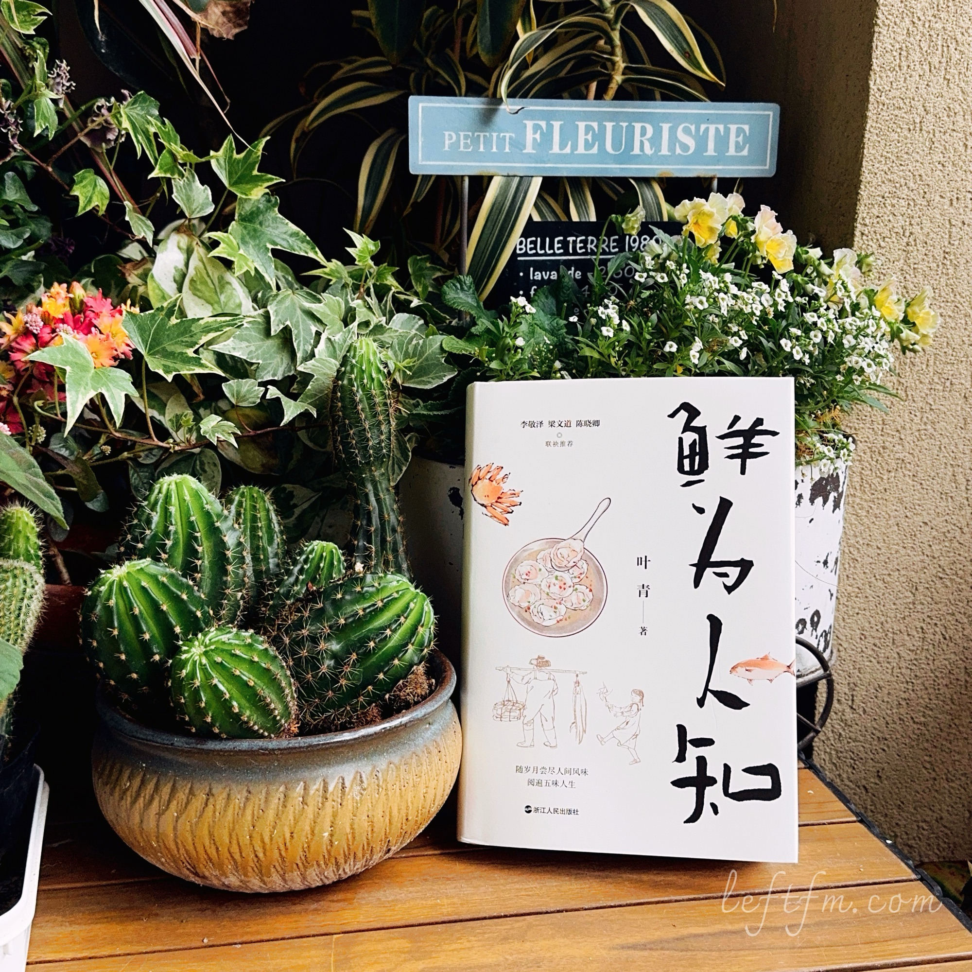 鲜为人知：温暖过胃，慰藉过心
